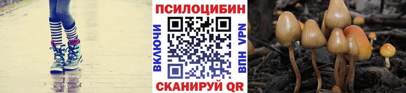 darknet клад  Новозыбков  Псилоцибиновые грибы мухоморы 
