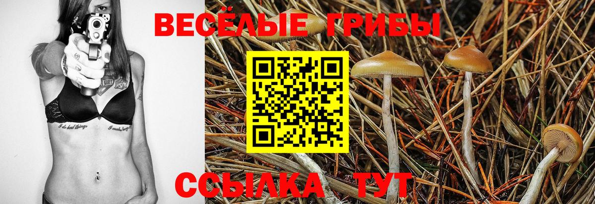 Новозыбков  Галлюциногенные грибы ЛСД  Вход с VPN  Галлюциногенные грибы MAGIC MUSHROOMS 
